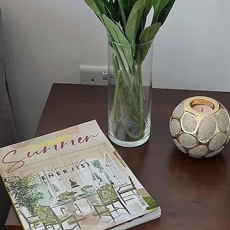 Centre Luxury With Pool Near Dunya Ivf & 別荘 *