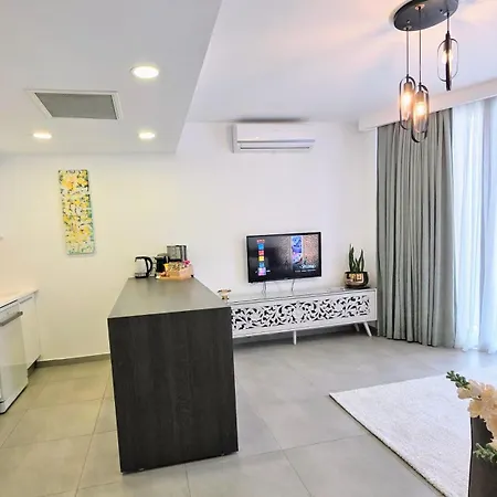Centre Luxury With Pool Near Dunya Ivf Holiday home