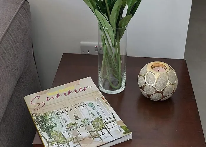 Centre Luxury With Pool Near Dunya Ivf & Сasa de vacaciones *