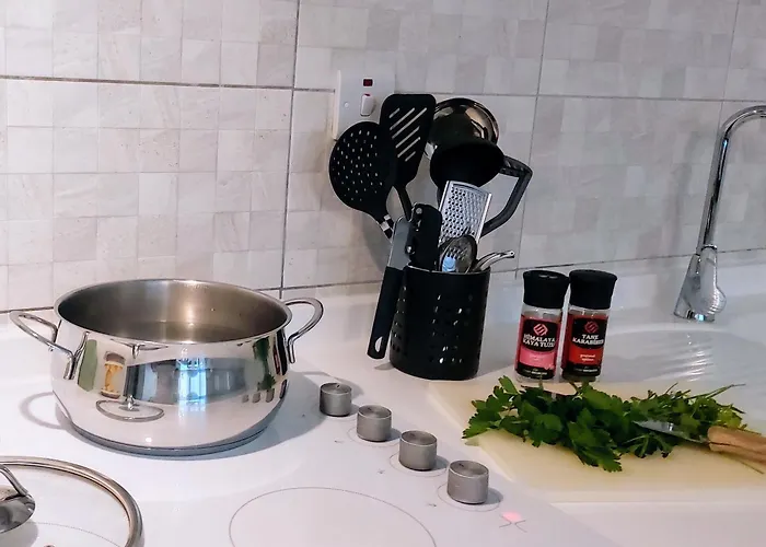 Сasa de vacaciones Centre Luxury With Pool Near Dunya Ivf & *