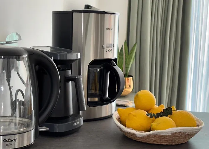 Centre Luxury With Pool Near Dunya Ivf & Сasa de vacaciones