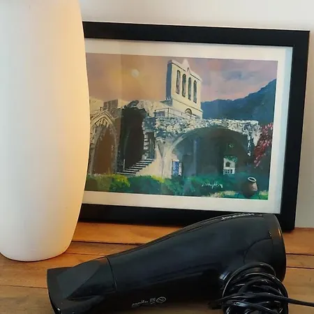 Centre Luxury With Pool Near Dunya Ivf &