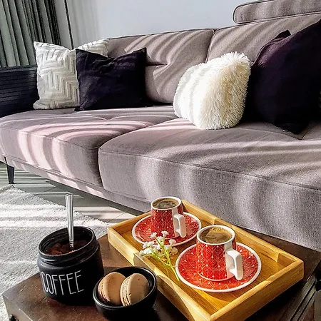 Centre Luxury With Pool Near Dunya Ivf &